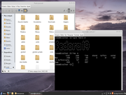 Cinnamon Fedora 19